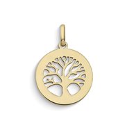 Charm Comete Stella in Oro giallo KCOB044